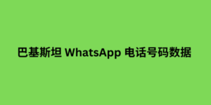 巴基斯坦 whatsapp 电话号码数据