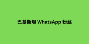 巴基斯坦 whatsapp 粉丝