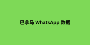 巴拿马 whatsapp 数据	