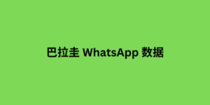 巴拿马 whatsapp 粉丝