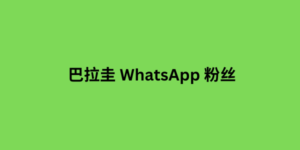 巴拉圭 whatsapp 粉丝