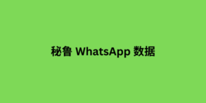 巴拉圭 whatsapp 数据