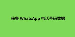 巴拉圭 whatsapp 电话号码数据