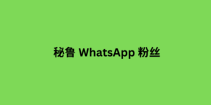 巴拉圭 whatsapp 粉丝